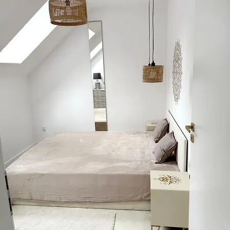 Szyszka * Rogowo (Gryfice)