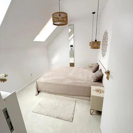 Szyszka * Rogowo (Gryfice)